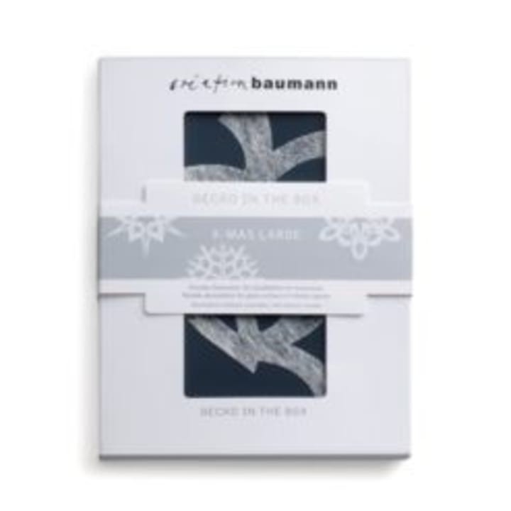 Gecko in the Box X-Mas Large - Gratis Versand