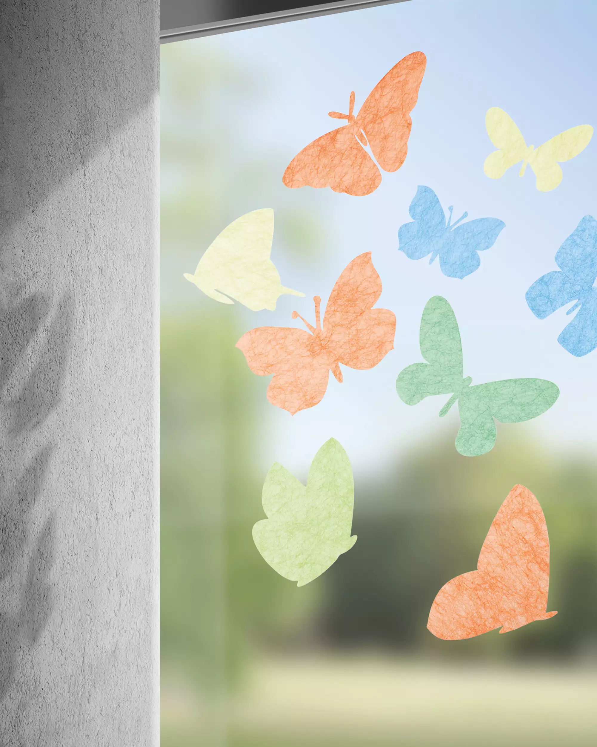 Gecko in the Box, Farfalla bunt col.5299 – Bild 4