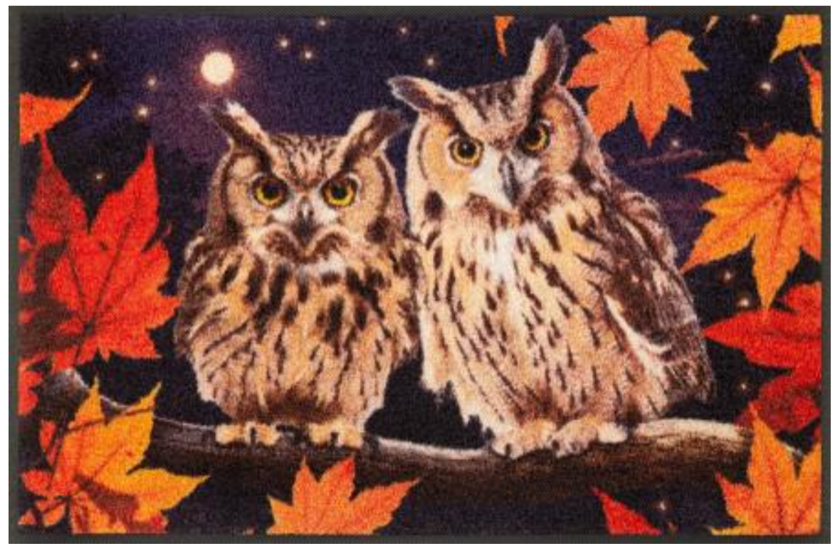 Fussmatte Night Owls