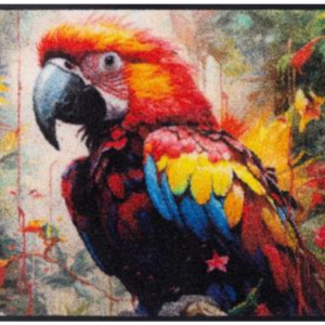Fussmatte Parry McParrot