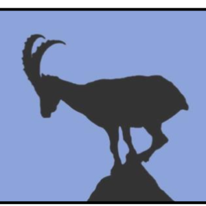 Fussmatte Wash & Dry Steinbock