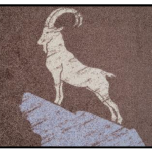 Fussmatte Wash & Dry Steinbock Braun