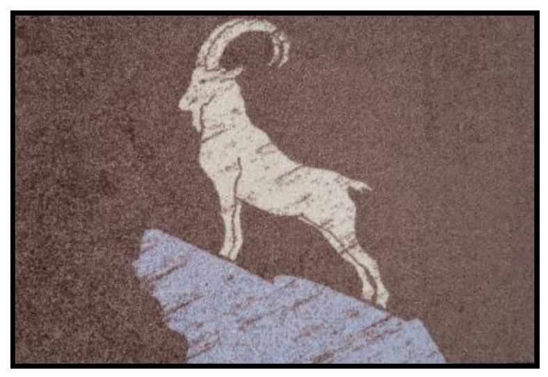Fussmatte Wash & Dry Steinbock Braun