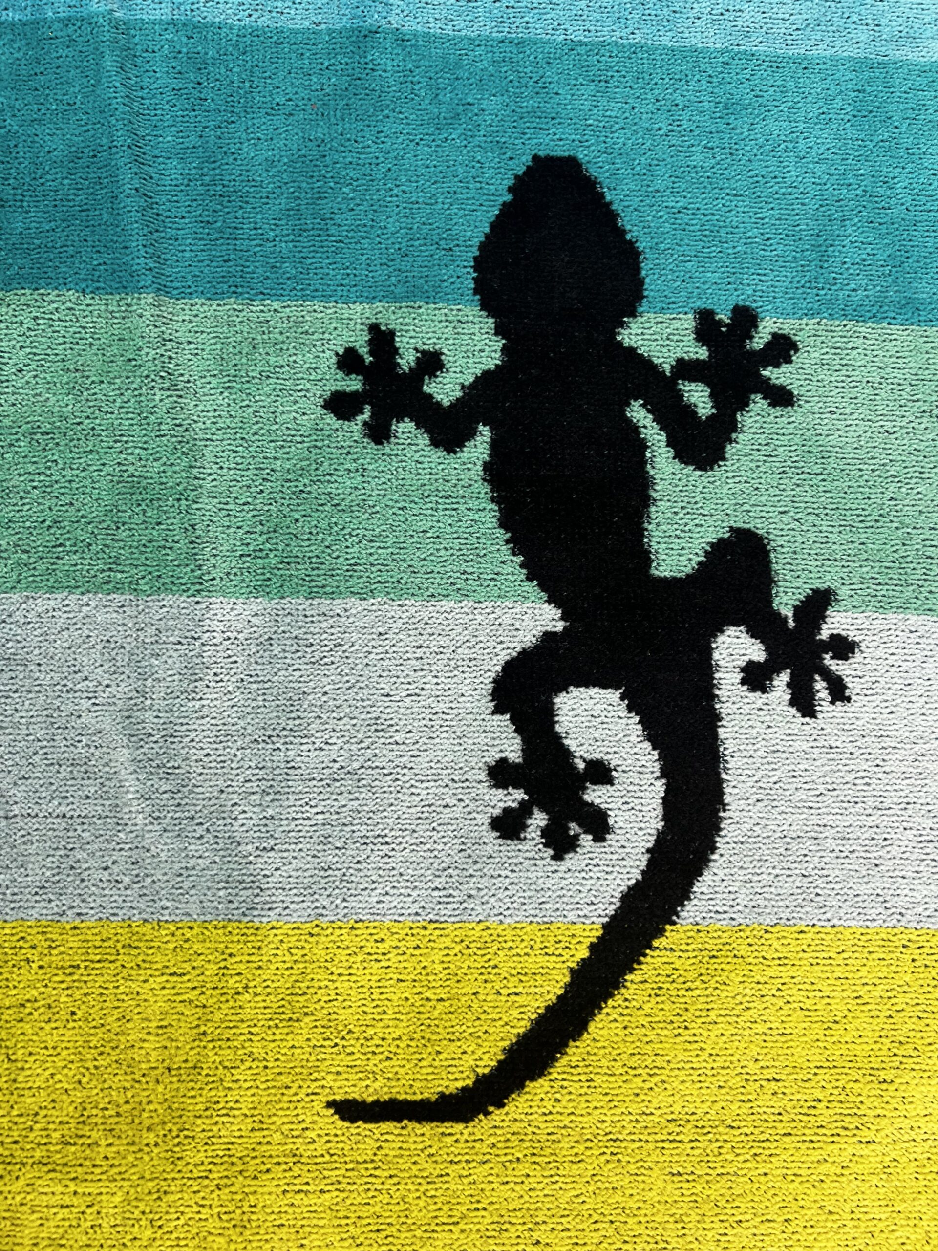 Gecko, Strandtuch – Bild 4